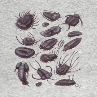 Trilobite Fossils T-Shirt